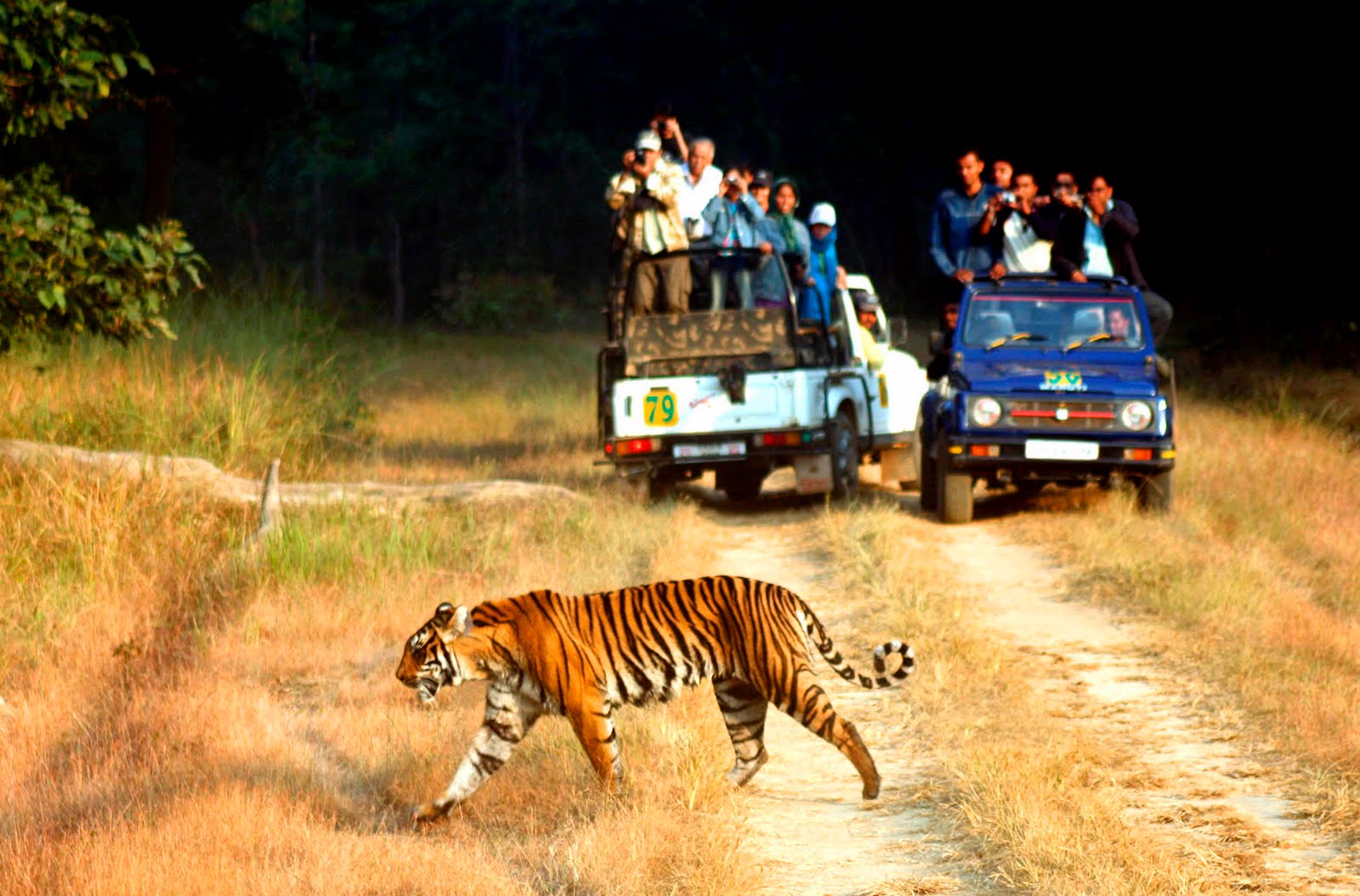 Nainital Corbett Tour Package