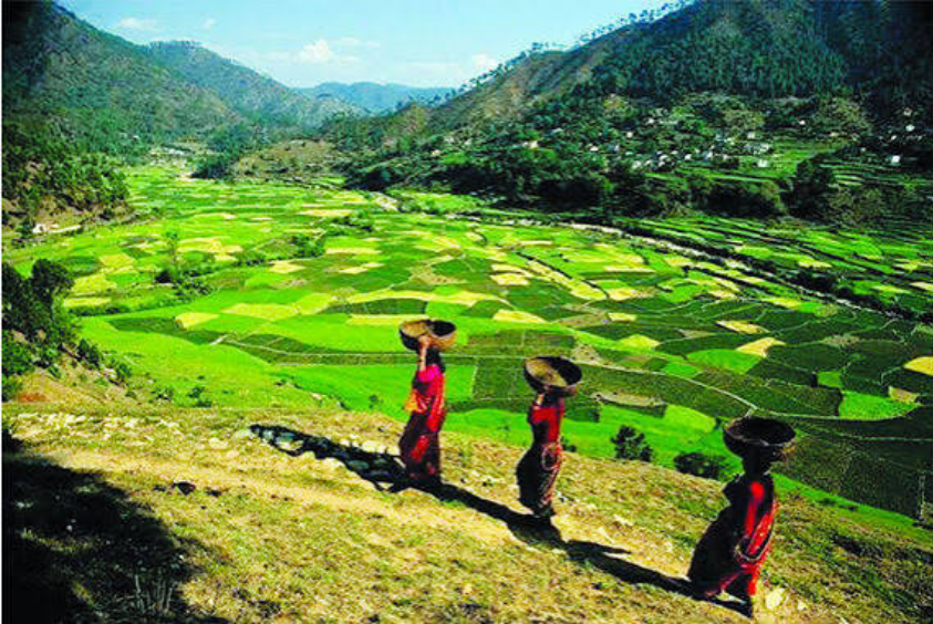 Kathgodam to Kausani Taxi Service